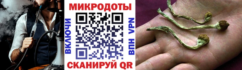 купить наркоту  Жердевка  Псилоцибиновые грибы MAGIC MUSHROOMS 